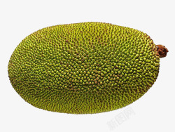 菠萝蜜透明PNG菠萝蜜高清图片