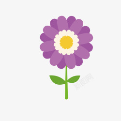 国色天香美丽紫色小菊花高清图片