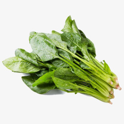 绿色农产品画册菠菜高清图片