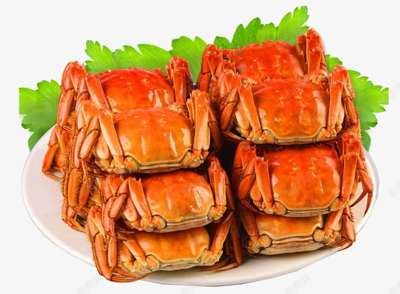 水产品海鲜螃蟹png免抠素材_新图网 https://ixintu.com 产品实物 水产品 海鲜 螃蟹