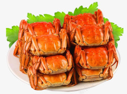 水产品海鲜螃蟹素材