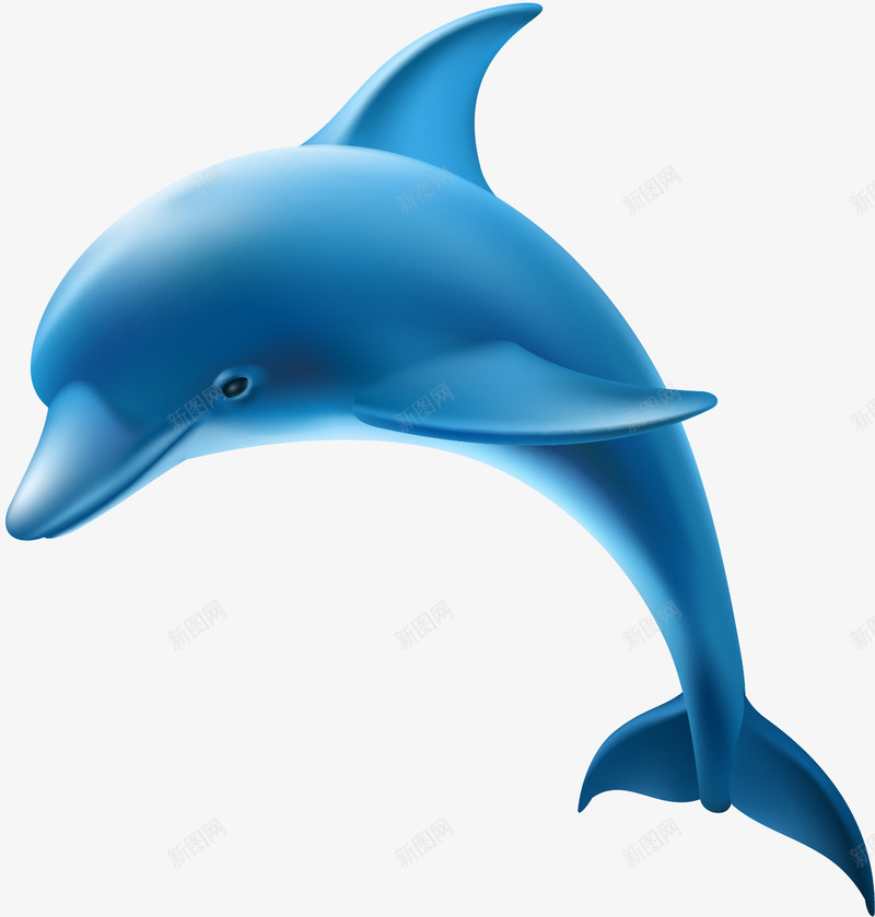 手绘海豚矢量图ai免抠素材_新图网 https://ixintu.com 写实 手绘 海洋动物 海豚 蓝色 跳跃的海豚 矢量图