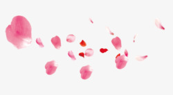 粉红花梦幻墙精致梦幻粉红色的花瓣高清图片