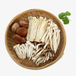 食用菌香菇食材菌类套餐3高清图片