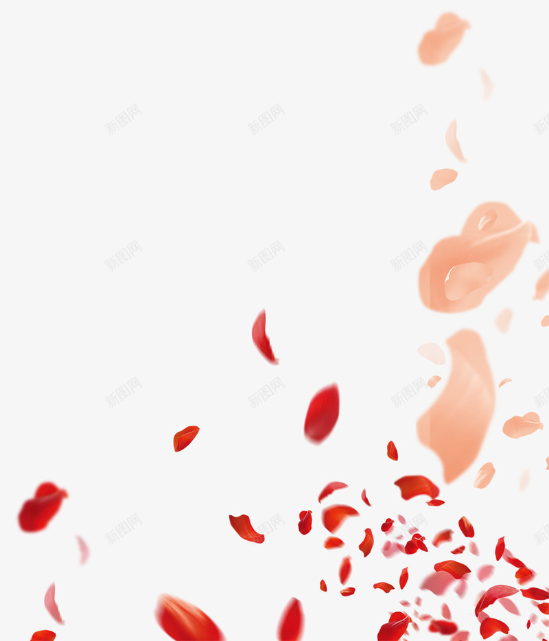 飘落的花瓣png免抠素材_新图网 https://ixintu.com 喜庆装饰 婚庆 装饰图案 飘落花瓣