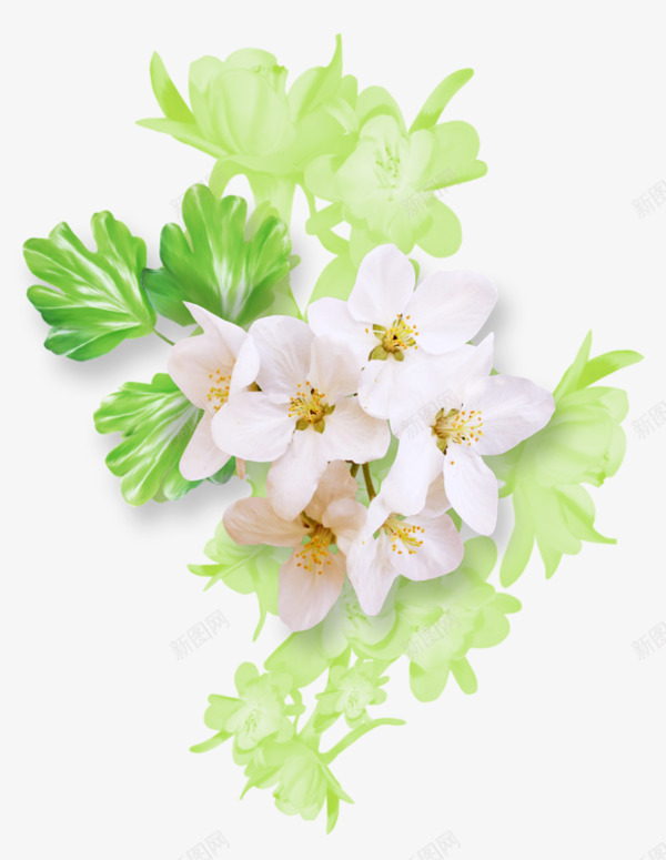 卡通白色花朵绿色花卉背景png免抠素材_新图网 https://ixintu.com 卡通手绘 白色花朵 绿叶背景 花卉装饰