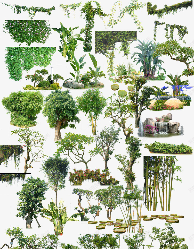 室外景观植物png免抠素材_新图网 https://ixintu.com psd 室外 时尚 景观 植物 白色