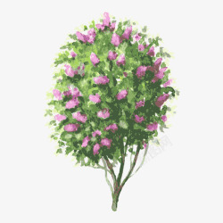 四季花卉树树木高清图片