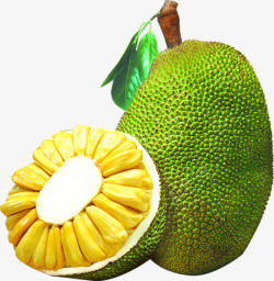 菠萝蜜透明PNG素材新鲜菠萝蜜水果热带水果高清图片