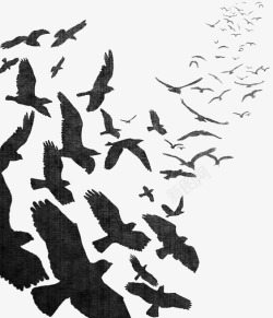 飞翔图案逼真水彩乌鸦高清图片