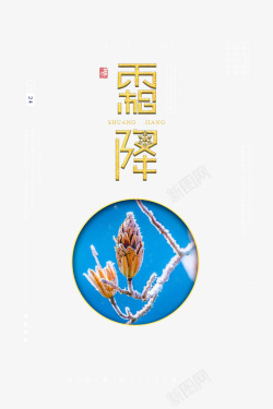 霜花节气霜降标题艺术字高清图片