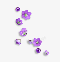 紫色化妆品盒子紫色鲜花高清图片