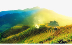 绿色稻田美丽的梯田高清图片