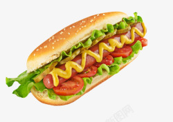 香肠三明治美味的实物青菜芥末番茄热狗实物高清图片