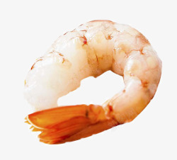 白色虾肉白色虾肉高清图片