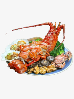 虾类海鲜素材