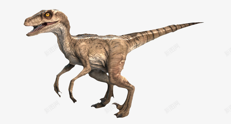 尖齿利爪奔跑3D恐龙png免抠素材_新图网 https://ixintu.com 3D恐龙 两腿恐龙 动物 尖齿利爪奔跑3D恐龙 恐龙 长脖子恐龙