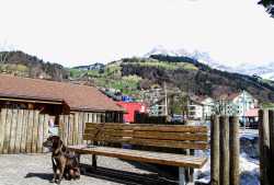 瑞士景点瑞士铁力士雪山片高清图片