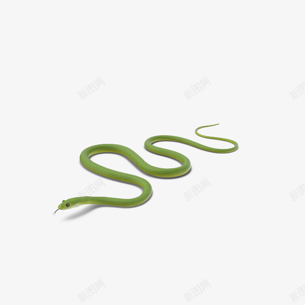 绿色青蛇爬行png免抠素材_新图网 https://ixintu.com 动物 爬行 绿色 青蛇