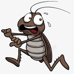 逃跑的蟑螂逃跑的蟑螂高清图片