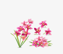 红色兰花装饰春季矢量图素材