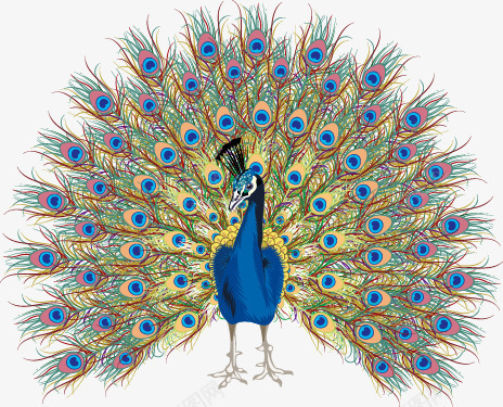 卡通手绘唯美孔雀开屏矢量图ai免抠素材_新图网 https://ixintu.com 卡通 唯美 孔雀 开屏 手绘 矢量图