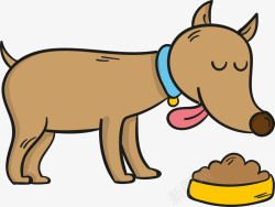 小狗食物吃狗粮的可爱小狗高清图片