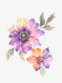 手绘水彩紫色花朵素材