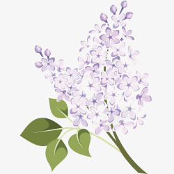 手绘一束紫色丁香花时尚插画素材