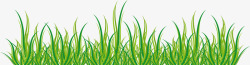 小麦苗叶子绿化小麦苗矢量图高清图片
