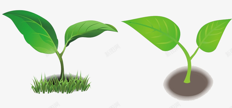 两颗小绿芽png免抠素材_新图网 https://ixintu.com 两颗 初春的力量 嫩绿 嫩绿的小芽 小绿芽 活力 绿色 青春