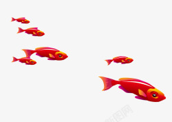 红色成群小鱼素材