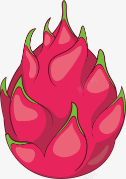 火龙果水果png手绘卡通火龙果矢量图高清图片