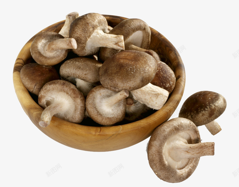 好看的蘑菇图png免抠素材_新图网 https://ixintu.com 木器 菌菇 蘑菇 香菇