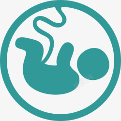 妊娠宝贝胎儿妊娠医学高清图片
