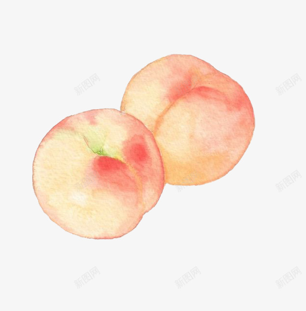 水彩桃子png免抠素材_新图网 https://ixintu.com 卡通 手绘 桃子 水彩 水果 白桃 粉色 装饰 食物