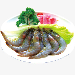 生鲜虾肉素材
