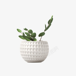 反光立体白色方格植物花盆高清图片
