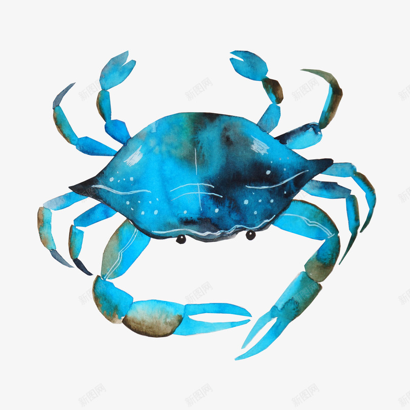 手绘螃蟹png免抠素材_新图网 https://ixintu.com 海生物 海边元素 海鲜 蓝色 螃蟹