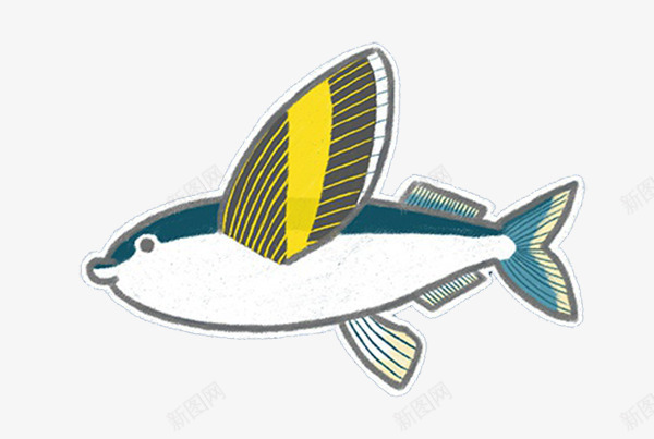 卡通白色海鱼png免抠素材_新图网 https://ixintu.com 大海 海鱼 海鲜 鱼鳍