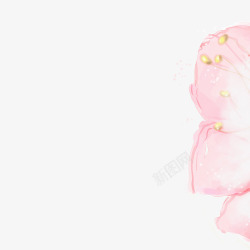 粉色水墨画花朵手绘插图素材