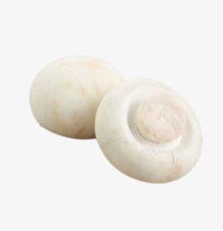 绿色蘑菇新鲜的口蘑高清图片
