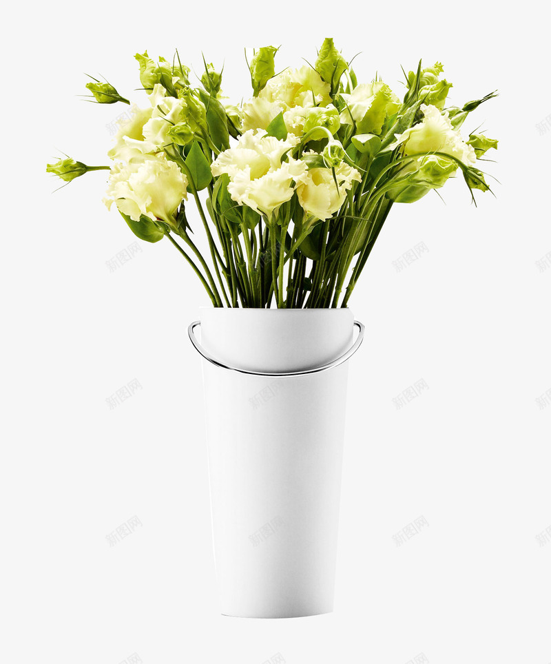 花瓶和鲜花png免抠素材_新图网 https://ixintu.com 小清新 漂亮 白色花瓶 绿色植物 装饰物