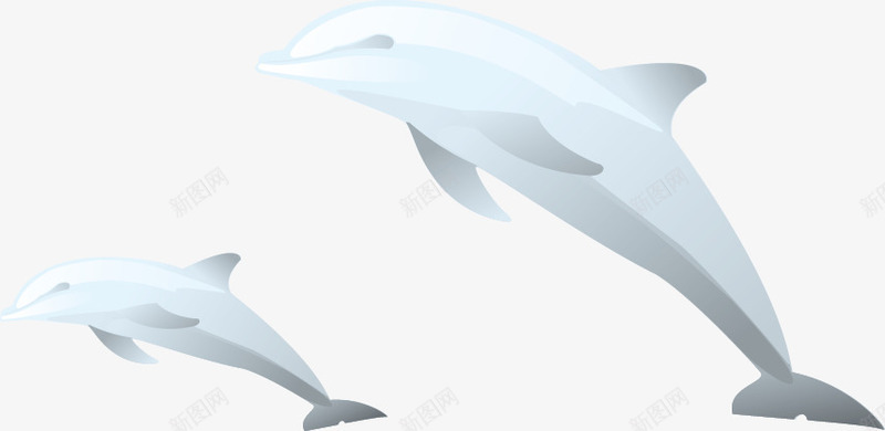 鲨鱼鲸鱼矢量图ai免抠素材_新图网 https://ixintu.com 海水 鱼 鲨鱼 鲸鱼 矢量图