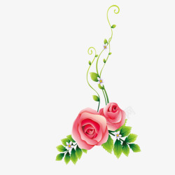 红玫瑰花藤一根藤上的两朵小红花高清图片