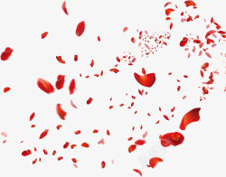 漫天飞舞漂浮红色浪漫花瓣素材