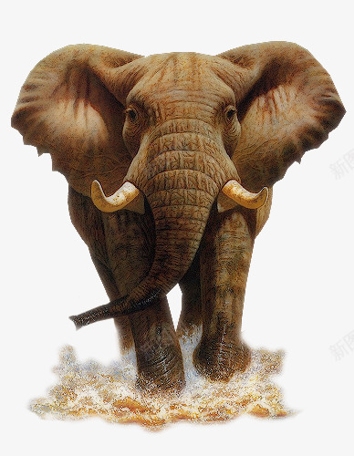 大象猛犸象png免抠素材_新图网 https://ixintu.com 动物 大象 猛犸象 象牙 远古