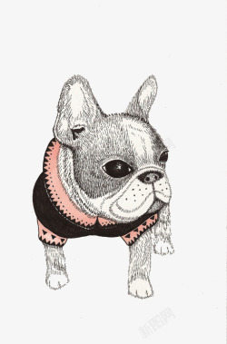 小狗动物装饰画素材