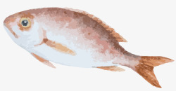 海鲜类食物一条小鱼高清图片