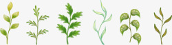 仙人草茎手绘绿色植物高清图片